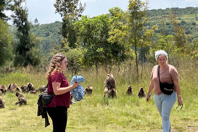 1-Day Tour Old bridge, Monastery,water falls Wildlife,Birds, - The 110 km north run: why the drive is part of the experience