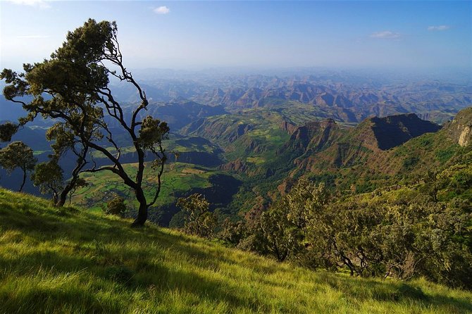 10 Days North Historical Tour - Day 1 in Addis Ababa: Lucy, Entoto, and George Cathedral