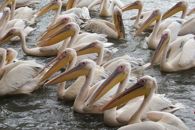 2-Day private Tour in Bahir Dar and Blue Nile falls - What the tour price includes, and where the value comes from