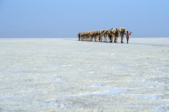 2 Days Dallol Trip - Ragad (Asebo) Salt Mining: Watching Salt Become a Trade
