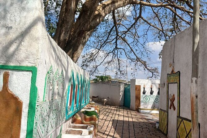 2 Days Harar Tours - Key Highlights You Should Not Skip