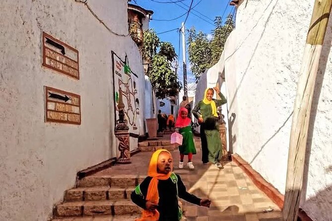 2 Days Harar Tours - Day 2 Morning Drive to Babile Camel Market