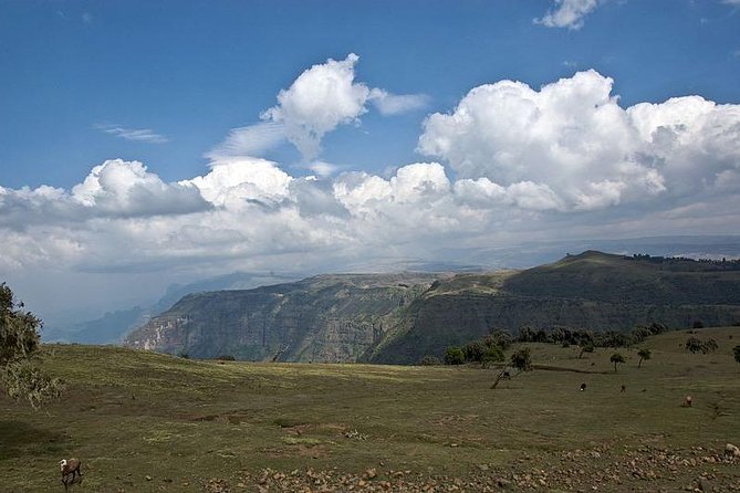 2 Days Simien Mountains Trekking - Getting from Gondar to Debark: the drive that sets the tone