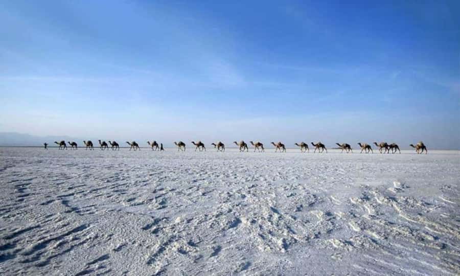 2-Night 3-Day Danakil Depression Tour without Flights - Key highlights you’ll actually remember