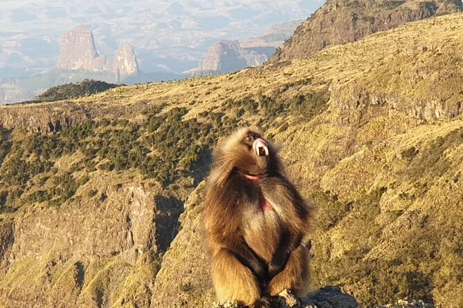 2 Nights 3 Days Trek to Semien Mountain - Why the Simien trek feels like a real highland experience