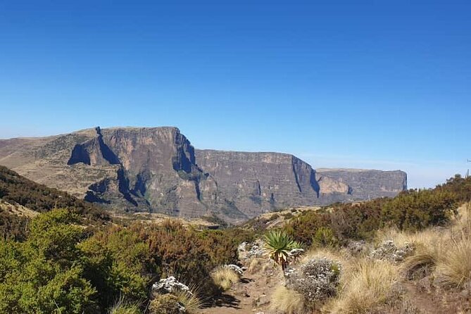 2 Nights 3 Days Trek to Semien Mountain - Gondar to Debark to Sankabar: permits, pickup, and your 8:00 am start