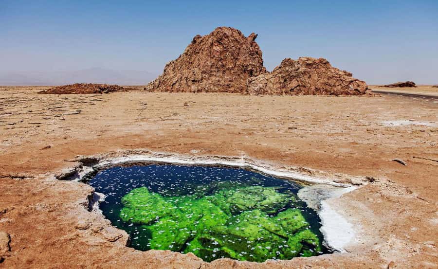 3-Day Danakil Depression A Journey into Earth’s Fiery Heart - Quick key points before you commit