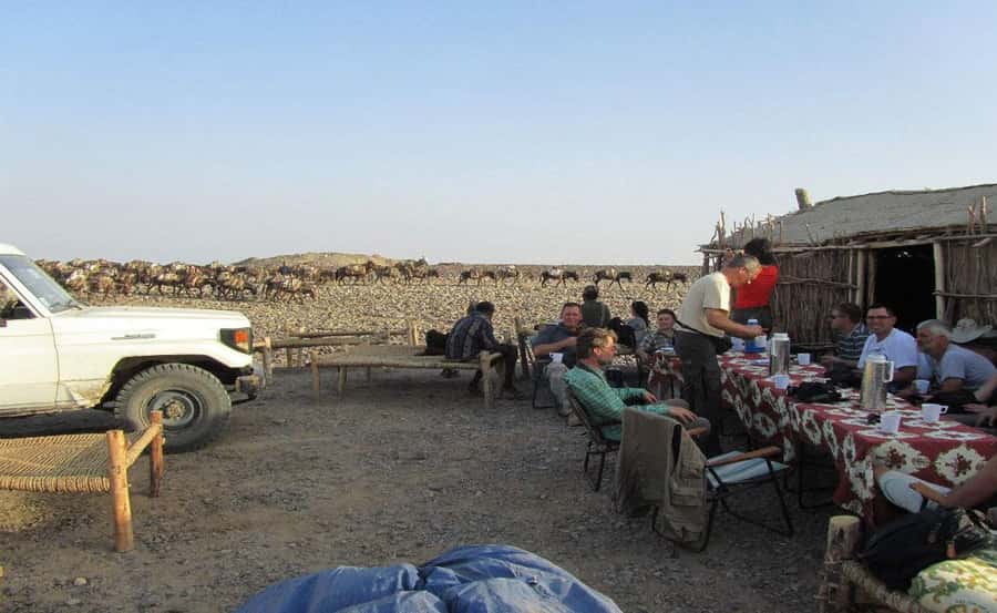 3-Day Danakil Depression A Journey into Earth’s Fiery Heart - Heat, safety, and fitness: how to know if this is for you