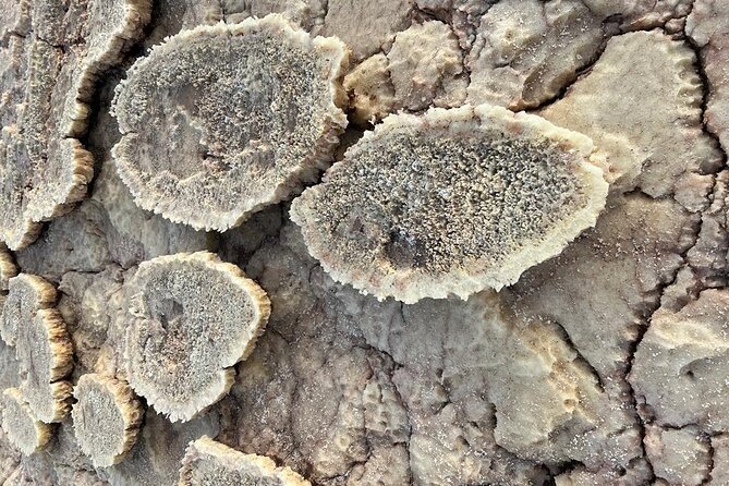 3 Day Danakil Depression Ertale and Dallol Tours - Price and logistics, why $400 can actually make sense here