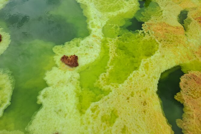 3 Day Danakil Depression Ertale and Dallol Tours - Guides and organization, names that came up and what to watch for