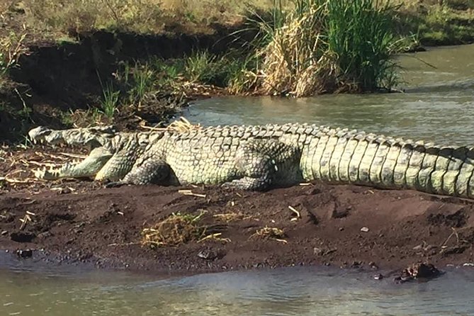 3 days, Arba Minch and Dorze - Nechisar National Park and gentle hiking: the quieter wildlife side