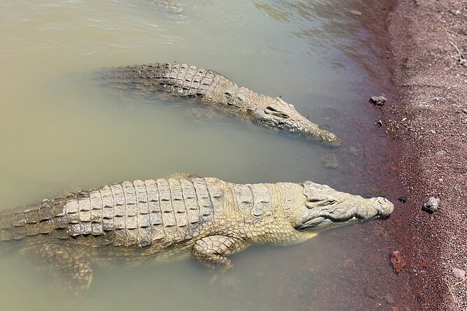 3 Days, Arba Minch, Dorze village and Konso Village - Chamo Lake Boat Trip: Nile Crocodiles, Hippos, and Fishermen Life