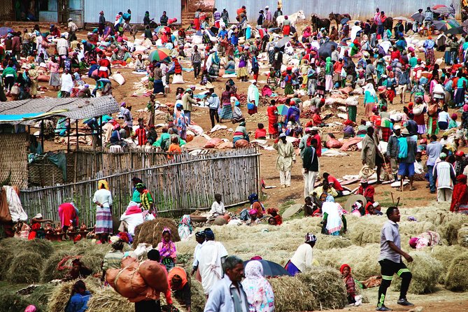 3 Days, Arba Minch, Dorze village and Konso Village - Dorze Village in the Gamo Highlands: Enset Food, Weaving, and Elephant Bamboo Houses