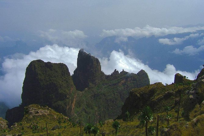 3 Days Bale Mountains Trekking - Price and what you actually get for $410.26
