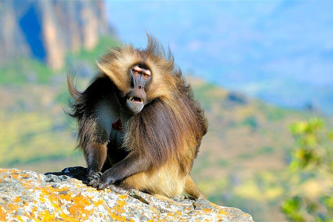 4 Days Tour to North Part of Ethiopia - Should you book this north Ethiopia tour?