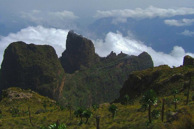 4 Days Trekking to Simien Mountain National Park - Price and logistics: why $275 can be good value here