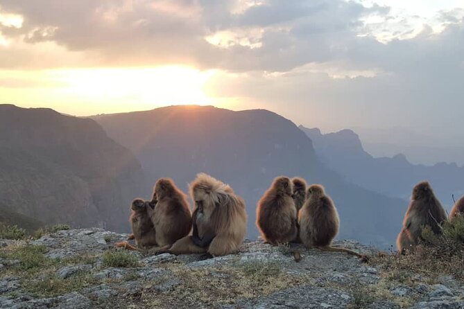 5 days Exploring North Ethiopia's Rich History and Culture - Simien Mountains National Park, with a scout and local guide