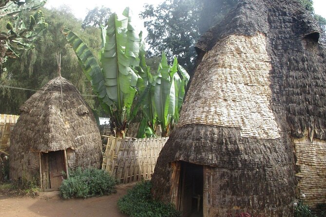 6 day Omo ValleyTours - Konso village time, Dorze weaving, and kocho from enset
