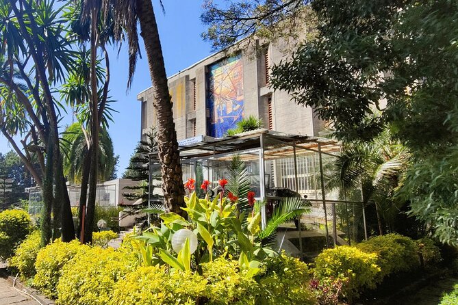A Guided Tour of Addis Ababa That Includes a City Viewpoint - National Museum of Ethiopia and Lucy, What You’re Really Seeing