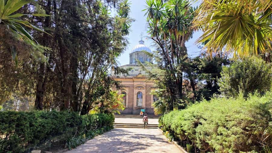 A guided tour of Addis Abeba that includes a city viewpoint - Tomoka Coffee stop: a small finish that leaves a big impression