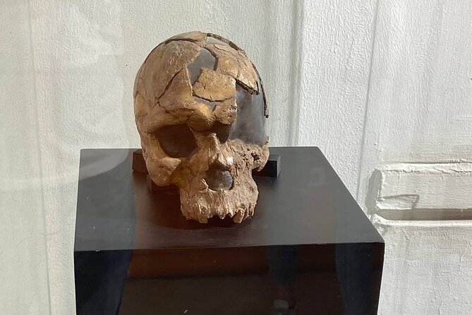 Addis Ababa City Tour - National Museum of Ethiopia: Lucy and the Long Timeline of Humanity