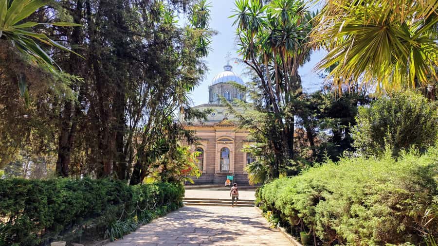 Addis Ababa city tour from Bole airport and All Hotels - Getting oriented fast: National Museum of Ethiopia and the Lucy moment