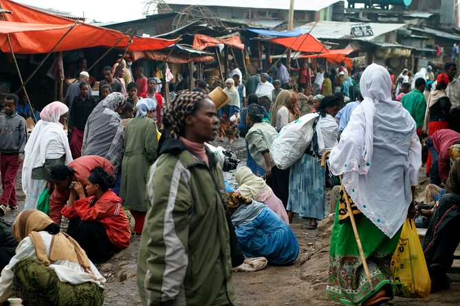 Addis Ababa City Tours Full Day With Hotel Pickup And Drop Off. - Lion of Judah and monument passing moments