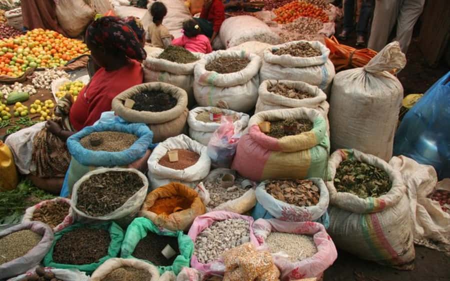 Addis Ababa: Entoto hill and Mercato Market layover tour - Why Entoto Hill and Mercato work so well for an Addis layover