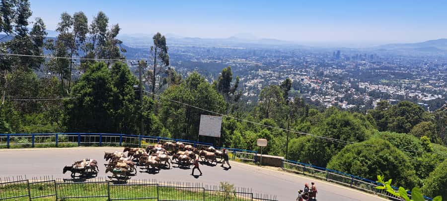 Addis Ababa Essentials: Flexible Full-Day City Sightseeing - Addis Mercato with a guide: shopping, photos, and learning how to walk it