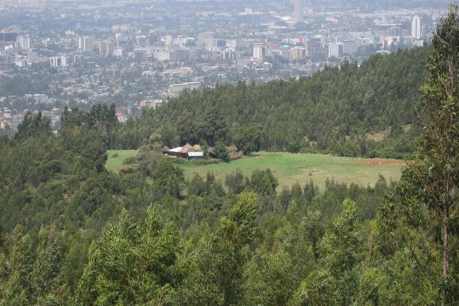 Addis Ababa +Mount Entoto View Point,Museums Palace Market Tours - Coffee and honey stops, plus how lunch fits into your day