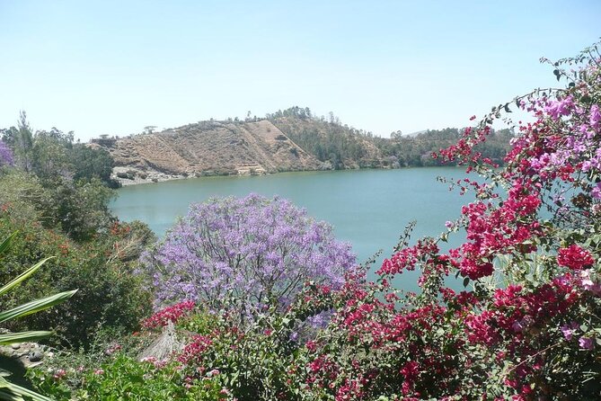 Addis Ababa Spa Day Trip To Debre Ziet(Resort Towns) - Getting to Kuriftu from Addis Ababa, with pickup that actually matters