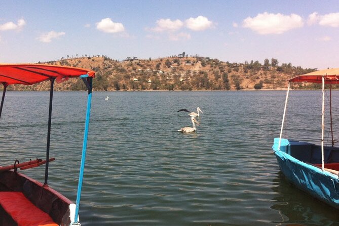 Addis Ababa Spa Day Trip To Debre Ziet(Resort Towns) - Pool, tennis, gym, and kayaking gear: staying active without rushing