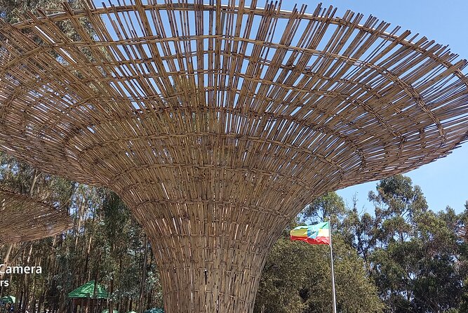 Addis City Tour & Crater Lakes excursions in Debreziet! - Private transport, pickup, and what small-group really buys you