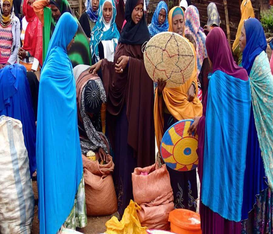 "Addis Uncovered: Culture, Views & Everyday Vibes - Mount Entoto, panoramic Addis and Menelik’s memory
