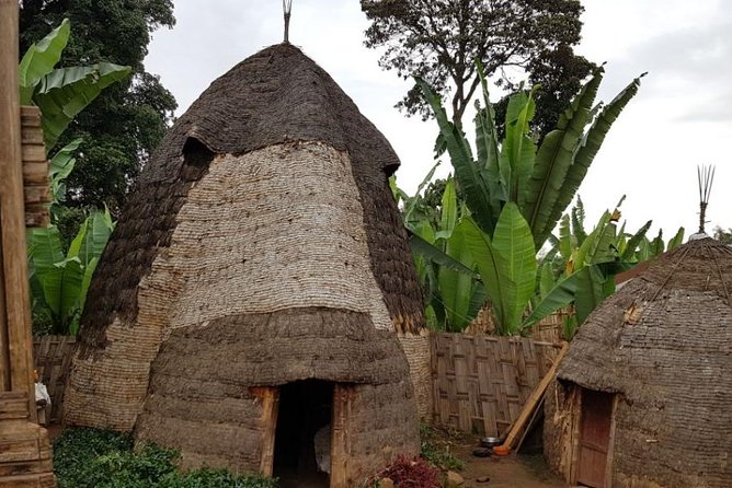 Arba Minch, Dorze Tribe, Konso, and Awasa Private 4 Days Tour from Addis Ababa - Value and Price: What You’re Really Paying For