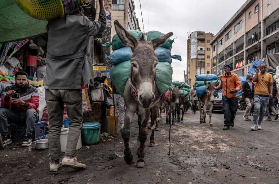 Authentic Addis Ababa City Tour with a Local Guide - Mercato Market Walk: How to Handle the Noise, Crowds, and Shopping Streets