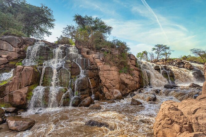 Awash National Park Tours - An Easy Escape From Addis Ababa: Awash in Just 2 Days