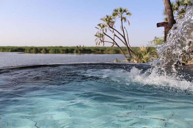 Awash National Park Tours - Hot Springs at Filwoha: A Weird, Wonderful Stop