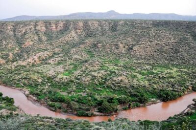 Awash National Park Tours