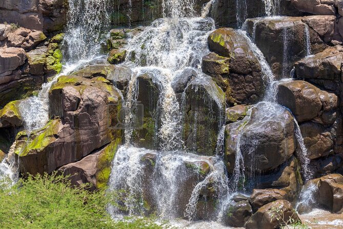 Awash National Park Tours - Your Guides and Driver: Josephs and Nico Make a Difference