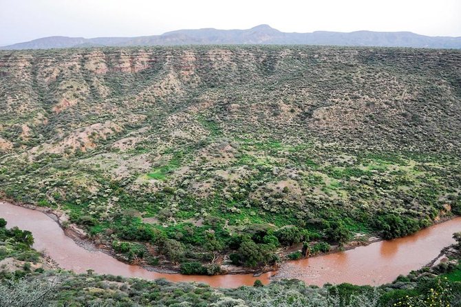 Awash National Park Tours - The 225 km Drive That Sets the Mood (and What to Expect)