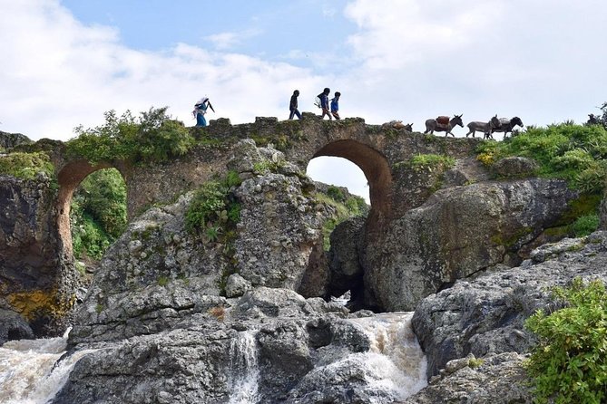 Breathtaking Nature, Wildlife and Cave Church Tour - Free Pickups - Wildlife and birds: what you can realistically hope to see