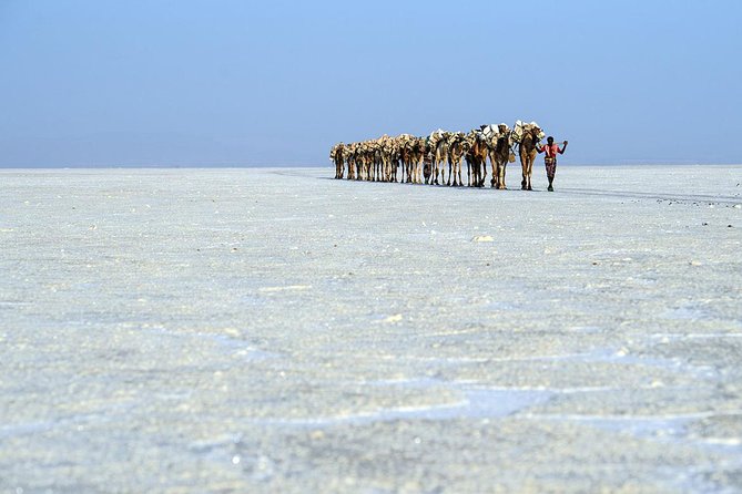 Danakil 3 days tour - Guides, Vehicles, and the Value of Being Well-Run