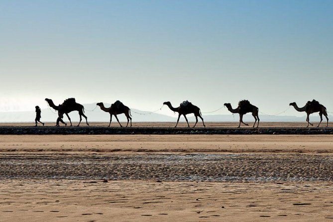 Danakil Depression and Lalibela 5 Days Tours - Day 1 from Semera to Ahmed Ella, Afar life and Salt Lake Asale