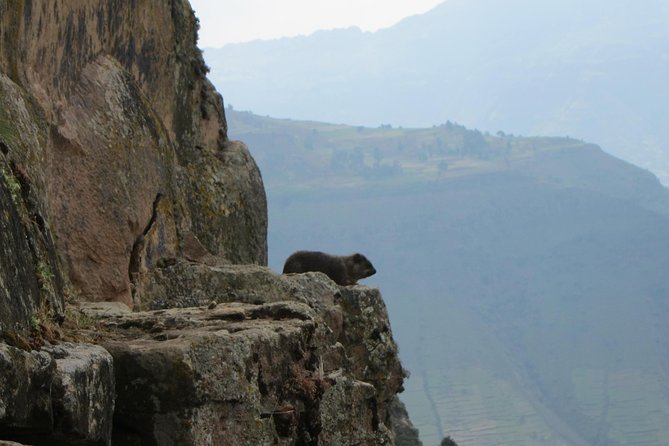 Day Hike Around Lalibela - Walking out toward Hudad Lodge: views, birds, and wildlife breaks