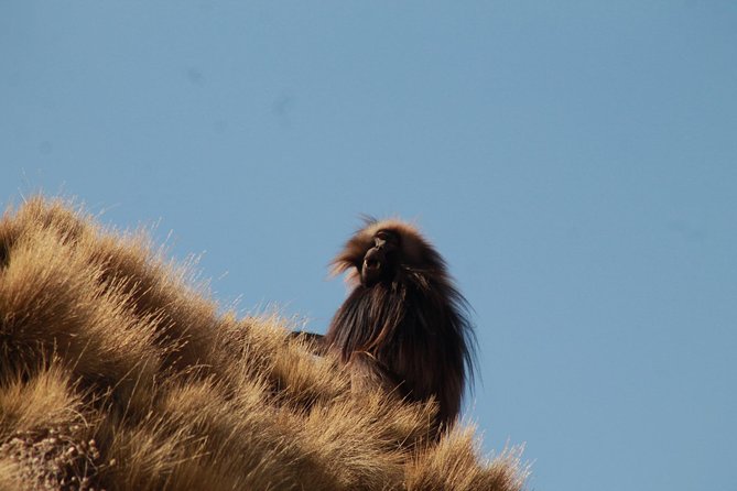 Day Hike Around Lalibela - Your guide Maereg, and how to get more out of the hike