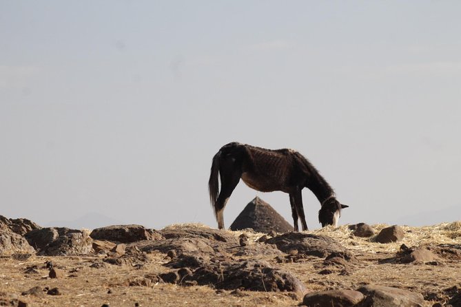 Day Hike Around Lalibela - Pace and fitness: what moderate really means on this route