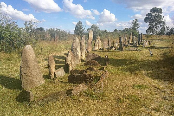 Day Tours to Tiya Stele and Cave Churches of Adadi Maryam - Price and Value: Is $95 a Good Deal?