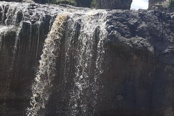 Day Trip Around Addis Ababa - Ethiopian birds and how to make wildlife time count