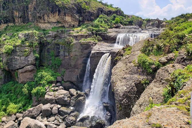 Day Trip From Addis Ababa See Historical Monastery,Stunning Nature,Animals,Birds - Who should book, and when to adjust your expectations